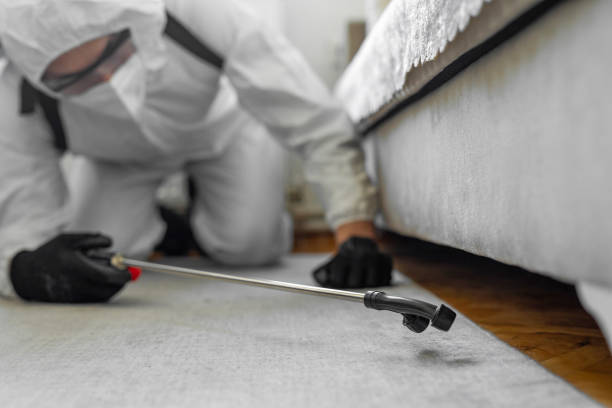Professional Cockroach Control technician working in Harrison County County, MO
